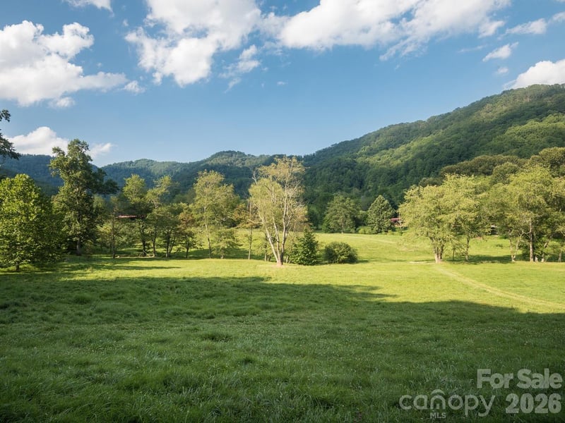 741 - 99999 Morrow Branch Rd, Leicester, NC 28748