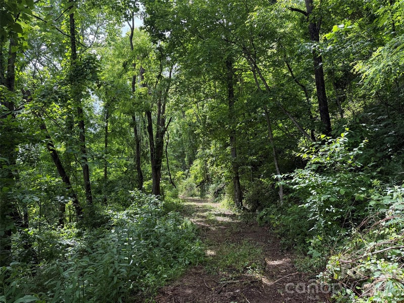 00 Panorama Dr #17, Waynesville, NC 28786