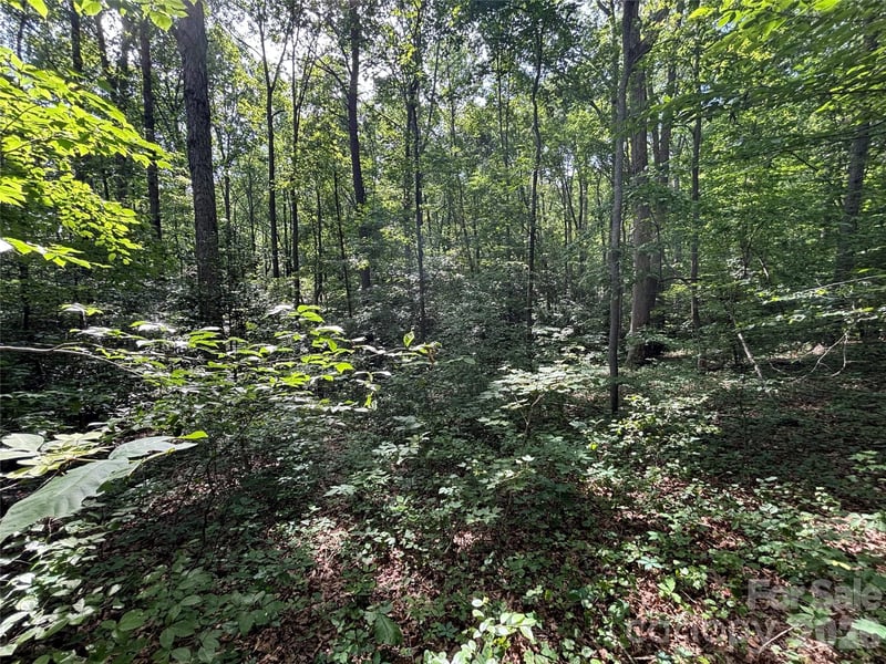 000 Goat Rd, Catawba, NC 28609