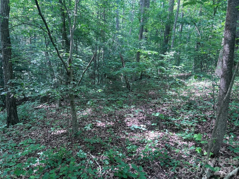 000 Goat Rd, Catawba, NC 28609