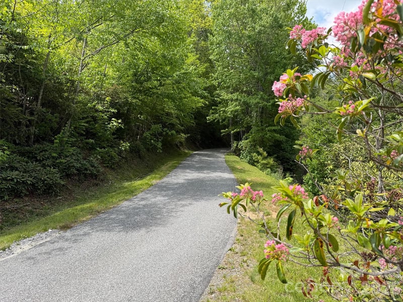 00 Leatherwood Rd, Maggie Valley, NC 28751