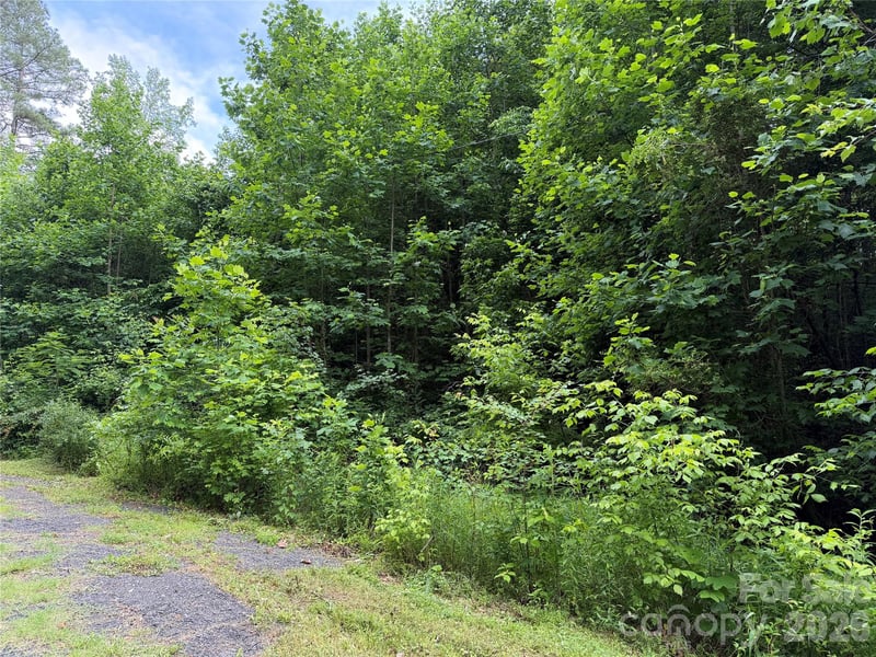 Eastmont Dr, Newton, NC 28658