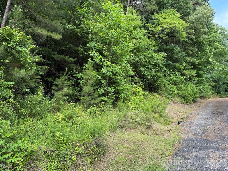 Eastmont Dr, Newton, NC 28658