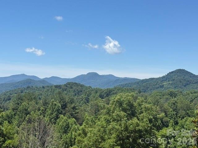 70 Heslar Way, Marshall, NC 28753