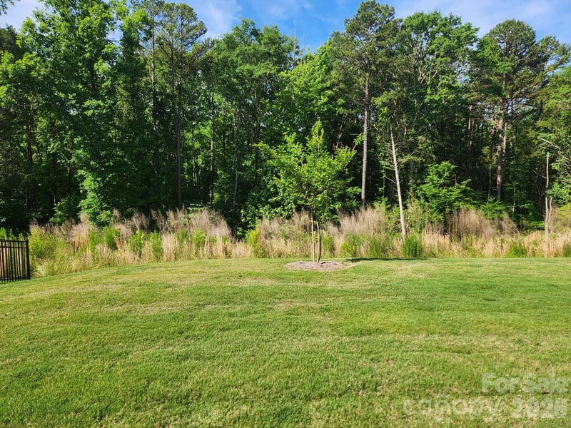 3849 Horsham St, Indian Land, SC 29707