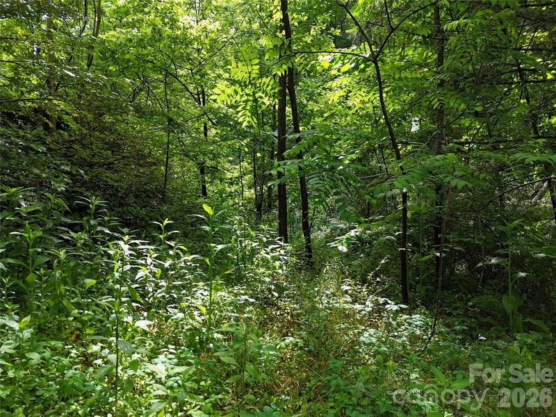137 Shanty Town Rd, Old Fort, NC 28762