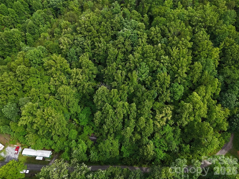 137 Shanty Town Rd, Old Fort, NC 28762