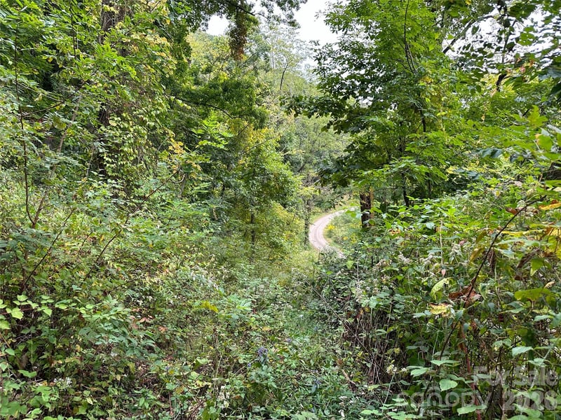 00 High Rock View Dr, Canton, NC 28716