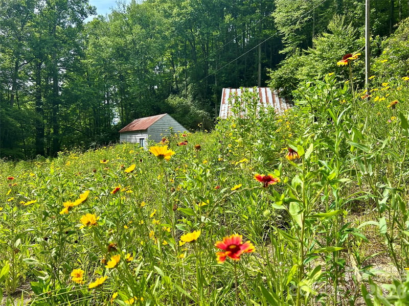 204 Rush Creek Rd, Black Mountain, NC 28711