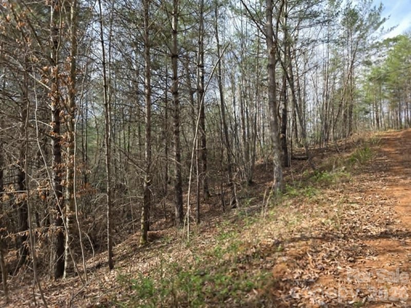 Lot 4 Kerlee Ln, Old Fort, NC 28762