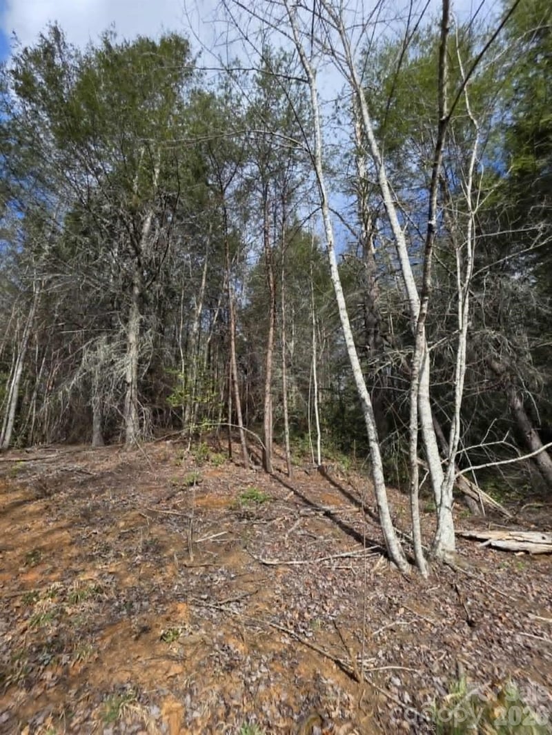 Lot 4 Kerlee Ln, Old Fort, NC 28762