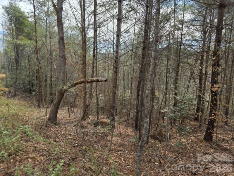 Lot 4 Kerlee Ln, Old Fort, NC 28762