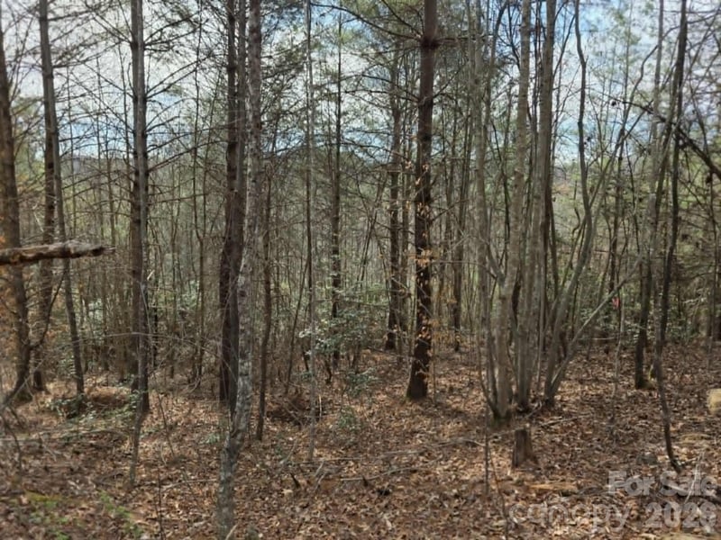 Lot 4 Kerlee Ln, Old Fort, NC 28762