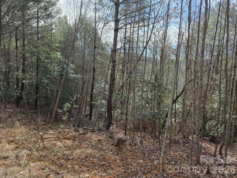 Lot 4 Kerlee Ln, Old Fort, NC 28762