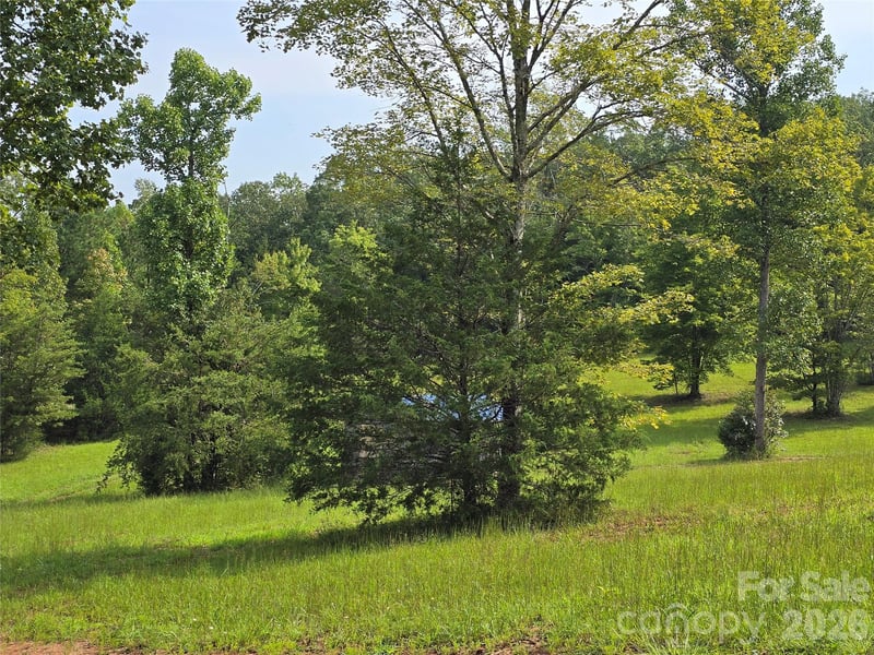 1696 Old Cc Rd, Rutherfordton, NC 28139