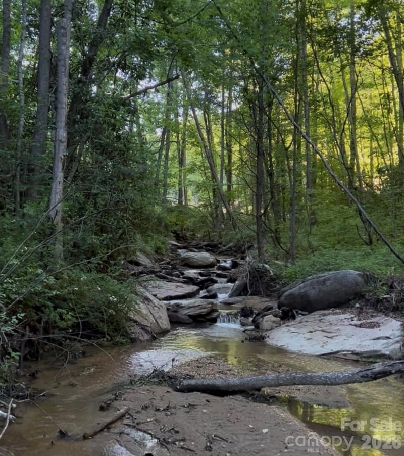 TBD Lot 3 Rush Creek Rd, Black Mountain, NC 28711