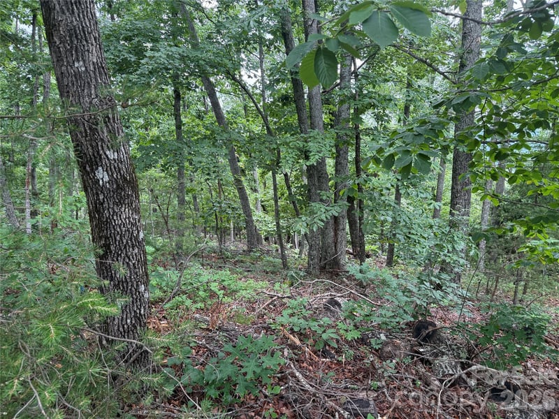 Arbra Mountain Way #54, Bostic, NC 28018