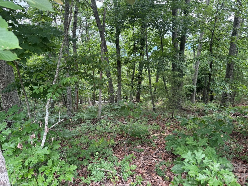 Arbra Mountain Way #54, Bostic, NC 28018
