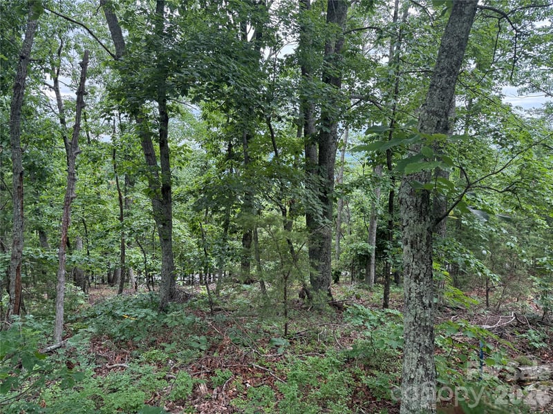 Arbra Mountain Way #54, Bostic, NC 28018