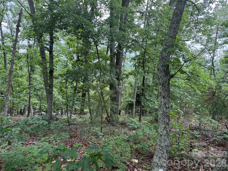 Arbra Mountain Way #54, Bostic, NC 28018