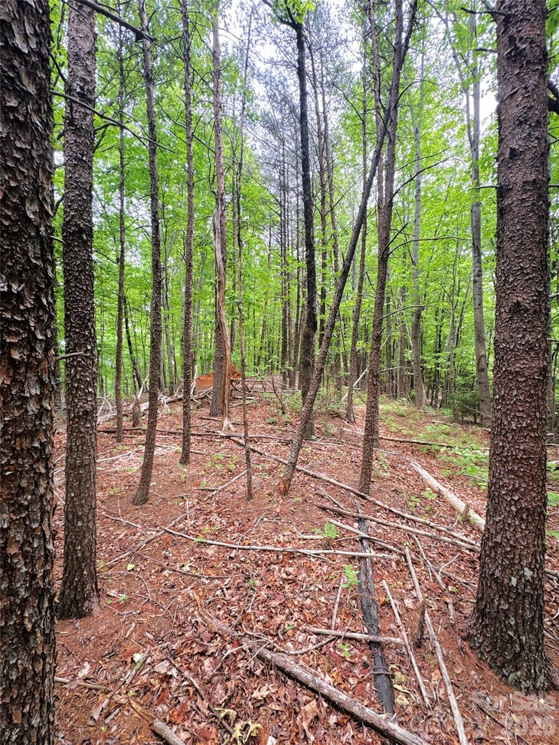 000 Laughter Rd, Mill Spring, NC 28756