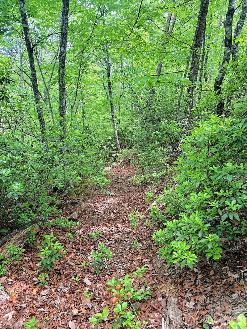 000 Laughter Rd, Mill Spring, NC 28756