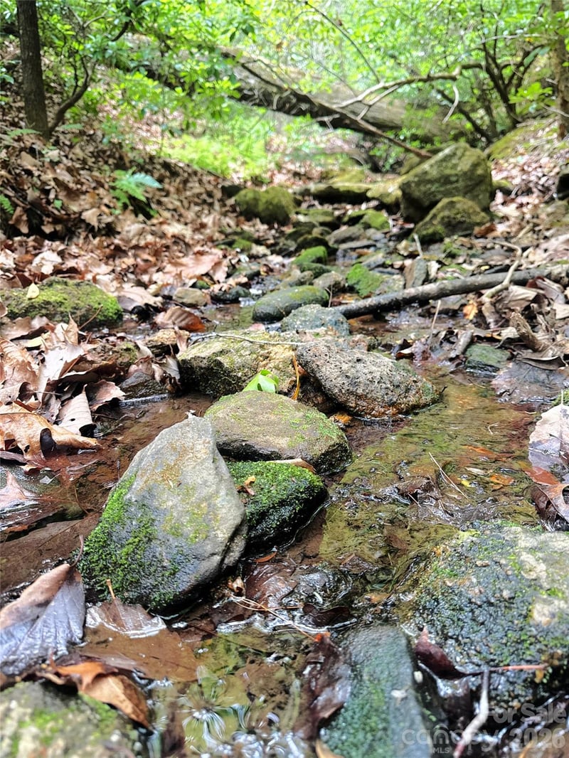 000 Laughter Rd, Mill Spring, NC 28756