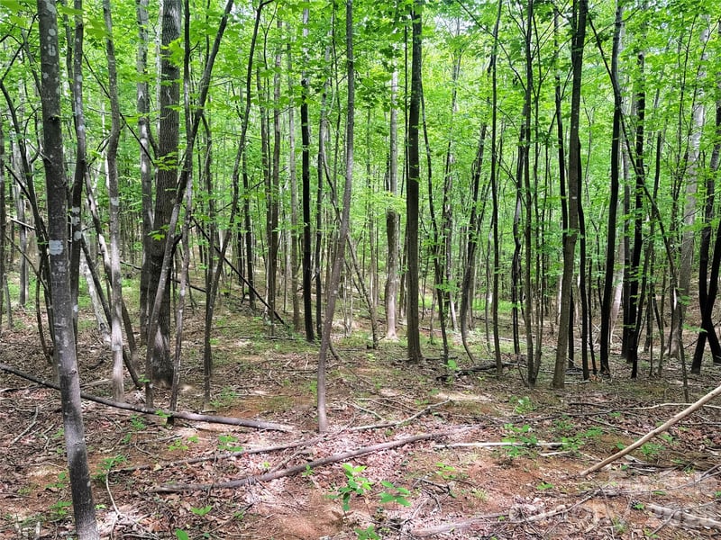 000 Laughter Rd, Mill Spring, NC 28756