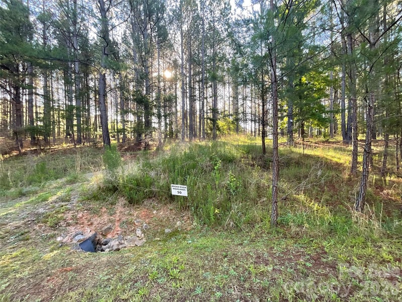 105 Whispering Pines Ln, Mooresboro, NC 28114