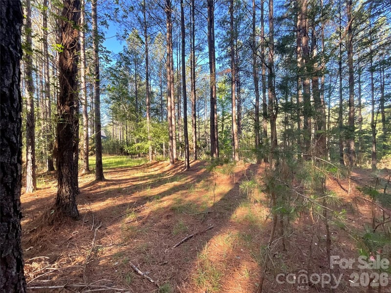 105 Whispering Pines Ln, Mooresboro, NC 28114