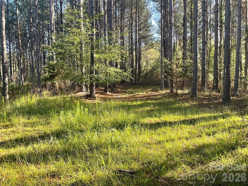 105 Whispering Pines Ln, Mooresboro, NC 28114