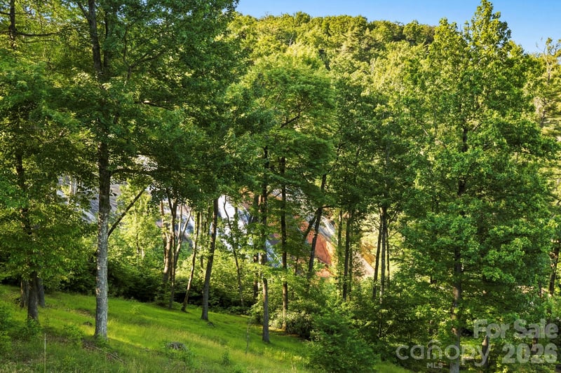 30 Lower Tanglewood Rd #2, Lake Toxaway, NC 28747