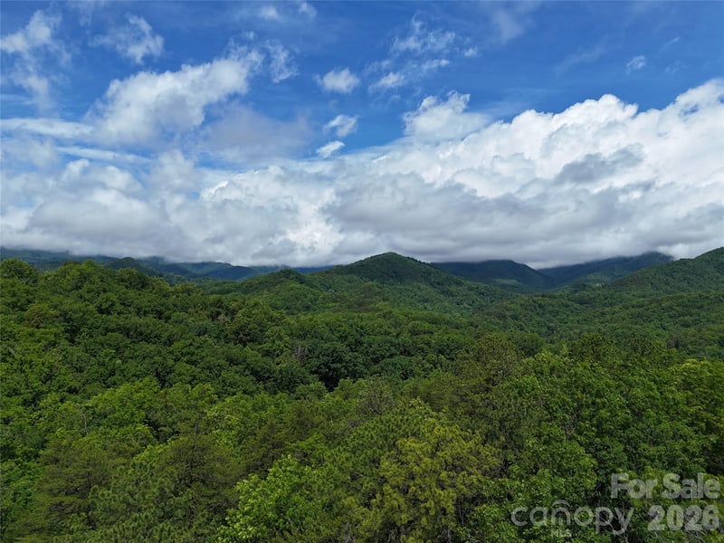 83 Shanty Town Rd, Old Fort, NC 28762