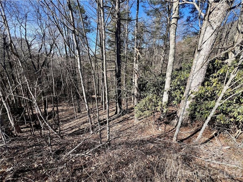 na 321 Hw, Sugar Grove, NC 28679