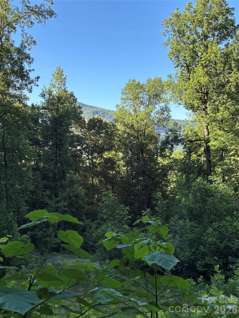 Lower Collier Cobb Dr, Lake Lure, NC 28746
