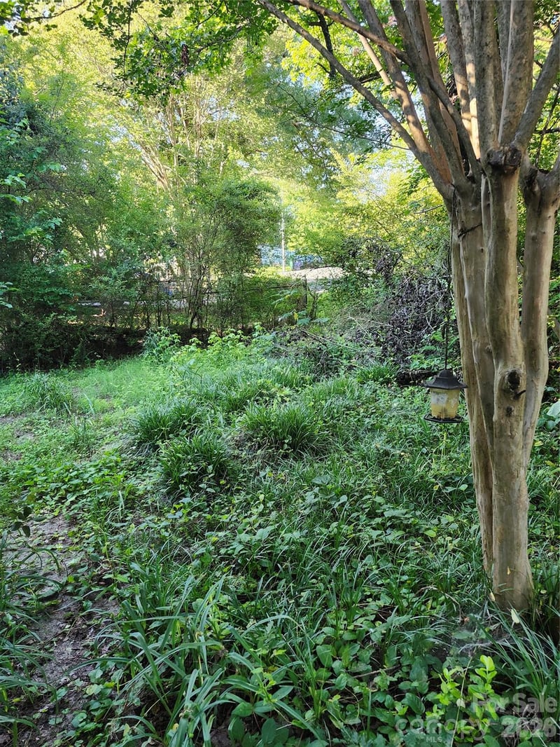 12324 Tweedsmuir Dr, Pineville, NC 28134