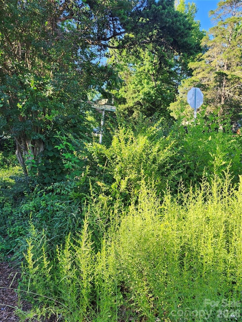 12324 Tweedsmuir Dr, Pineville, NC 28134