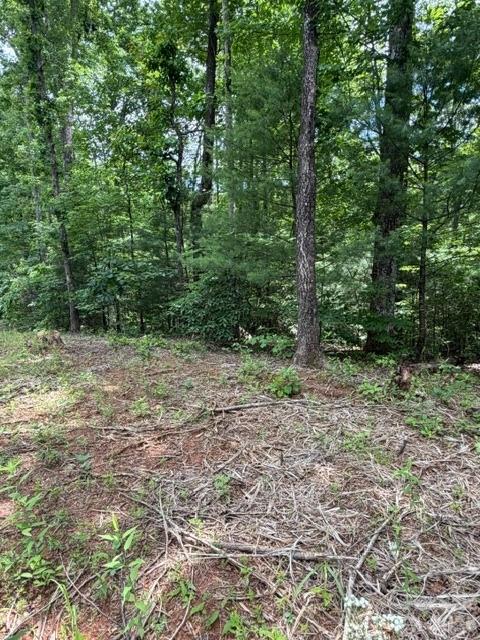 Country Way, Lake Lure, NC 28746