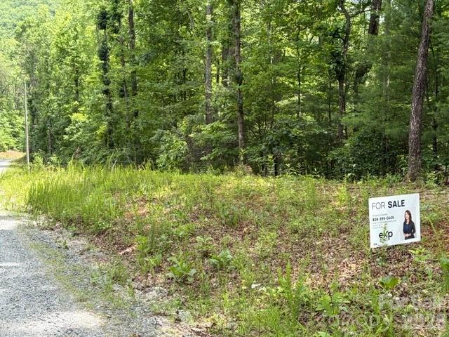 Pear Tree Dr, Lake Lure, NC 28746