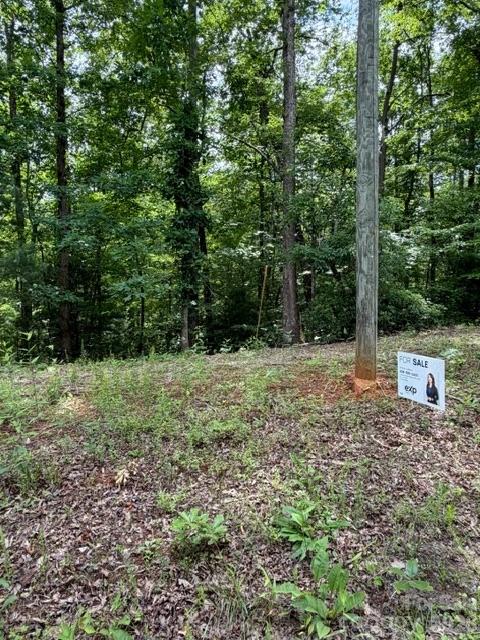 Pear Tree Dr, Lake Lure, NC 28746