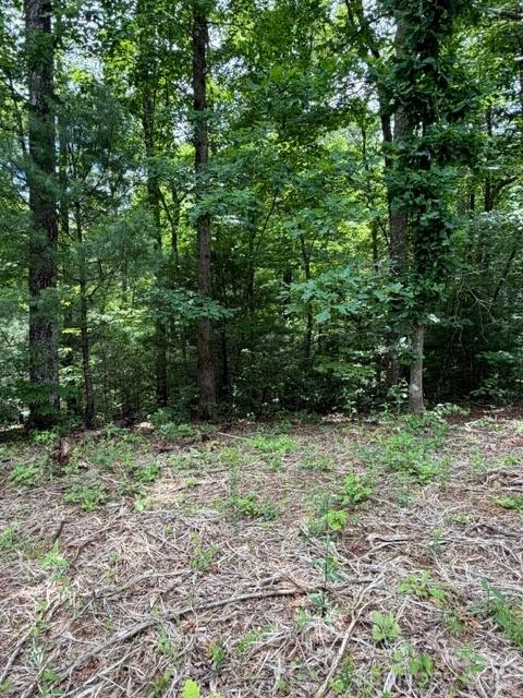 Pear Tree Dr, Lake Lure, NC 28746