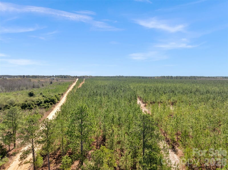 931 Charlie Johnson Rd #2, Kershaw, SC 29067