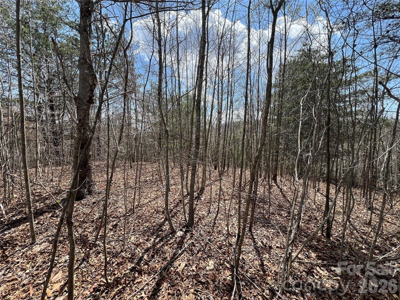 192 Pine Cone Trl #21, Marshall, NC 28753