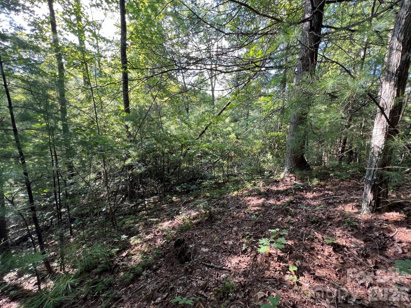 192 Pine Cone Trl #21, Marshall, NC 28753