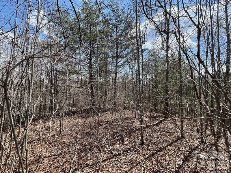 192 Pine Cone Trl #21, Marshall, NC 28753