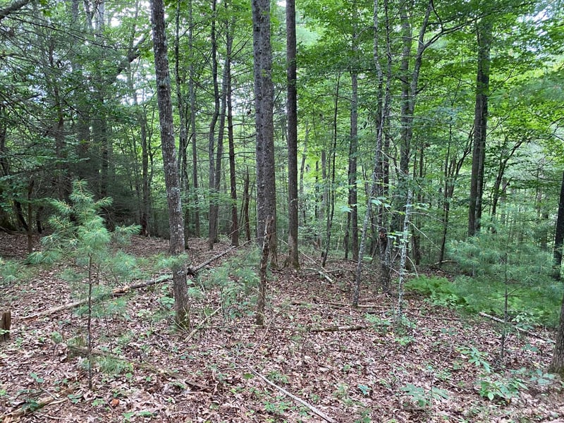 192 Pine Cone Trl #21, Marshall, NC 28753