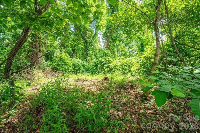 9999 Sandy Mush Creek Rd, Leicester, NC 28748
