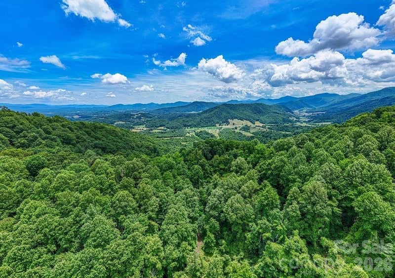 9999 Sandy Mush Creek Rd, Leicester, NC 28748