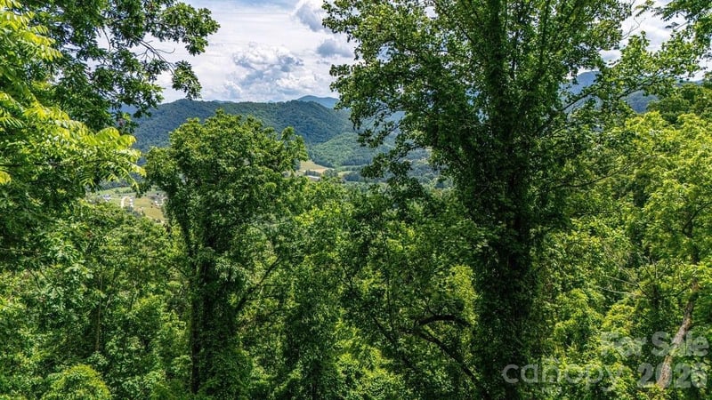 9999 Sandy Mush Creek Rd, Leicester, NC 28748