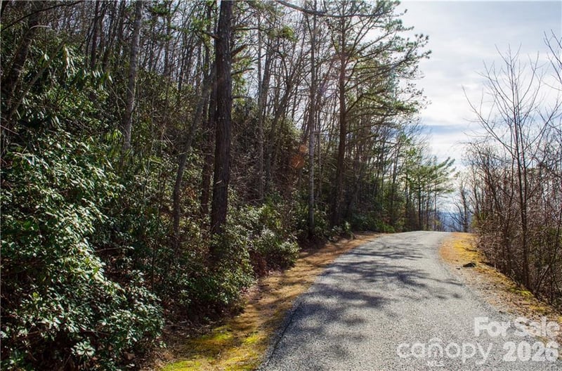 99999 Red Oak Forest Rd #1418, Fairview, NC 28730